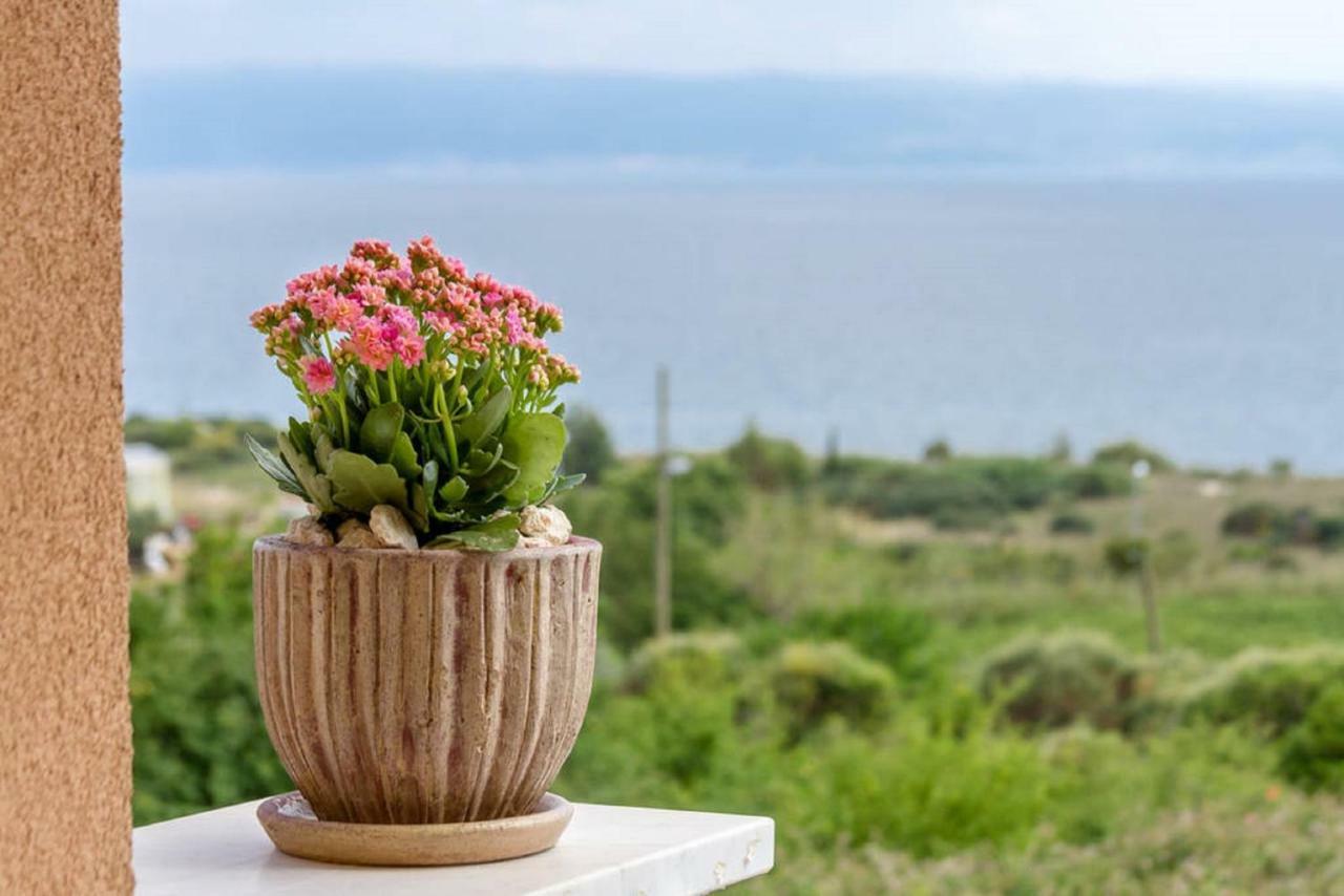 Apartment Nika Σπλιτ Εξωτερικό φωτογραφία